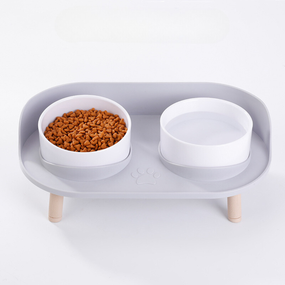 Double Bowl Cat Feeder