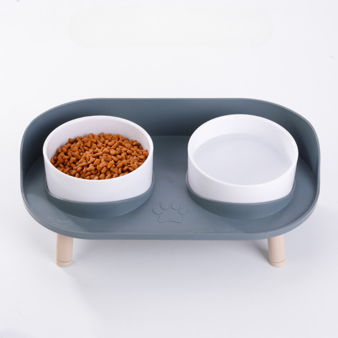 Double Bowl Cat Feeder