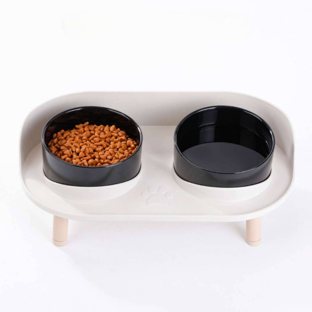 Double Bowl Cat Feeder