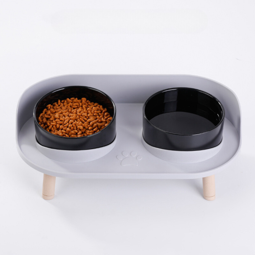 Double Bowl Cat Feeder