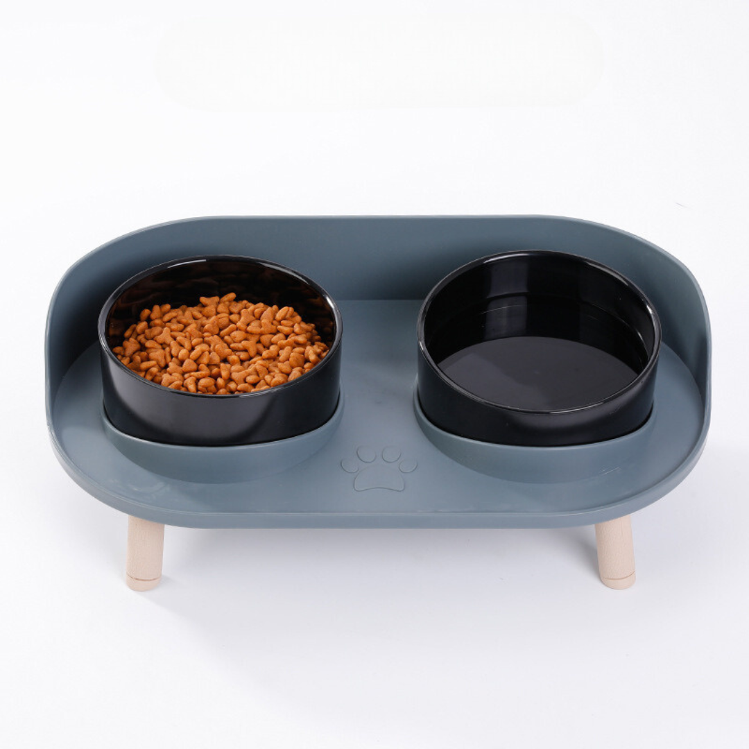 Double Bowl Cat Feeder